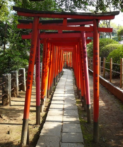 Psitt Etude qualitative accompagnement